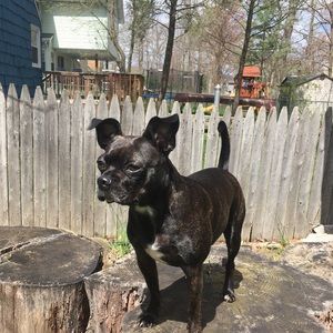 Meet your Posher, Emma